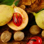 Rempah Legendaris dari Timur: Ini Alasan Kenapa Kamu Harus Kenal Buah Pala