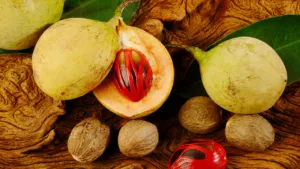 Rempah Legendaris dari Timur: Ini Alasan Kenapa Kamu Harus Kenal Buah Pala