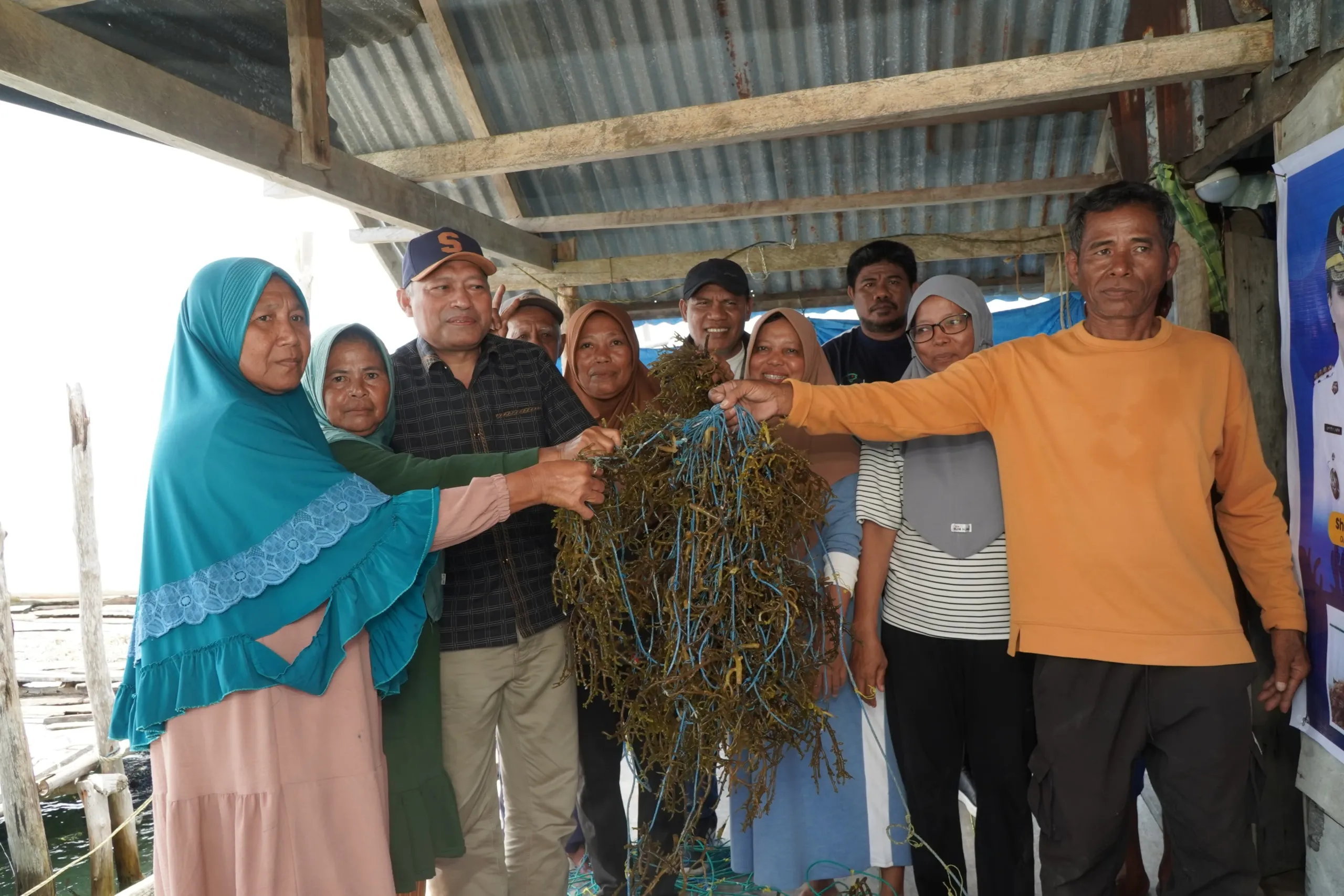 Panen Raya Rumput Laut di Pulau Santari, Wagub Malut Sarbin Sehe Tinjau Langsung Produktivitas Petani Pesisir