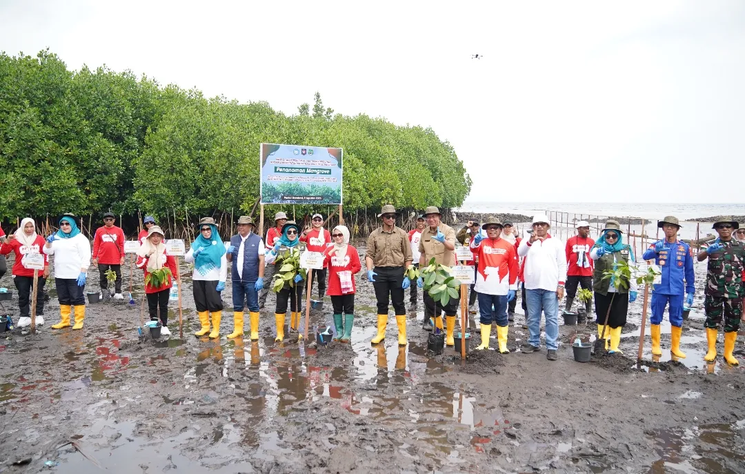 Penanaman mangrove di Ternate bersama PKK Malut dan pelajar untuk pelestarian pesisir