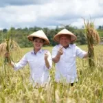 Wakil Gubernur Maluku Utara Sarbin Sehe mendampingi Gubernur Sherly Tjoanda Laos dalam panen raya di Desa Sumber Makmur, Gane Timur.
