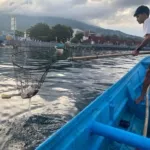 Satgas Armada Sampah Laut Kota Ternate dan Komunitas Batu Meja mengangkat sampah plastik di perairan pesisir Kelurahan Makassar Timur.