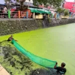 Kolaborasi DKP dan Warga, Taman Lelong Ternate Dibersihkan dari Tanaman Air