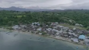 Source : Youtube Nardin Atasi