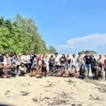 Mahasiswa BEM Universitas Pasifik Unipas Morotai melakukan aksi penanaman mangrove di pesisir Pulau Dodola.
