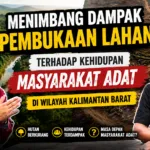 Dampak Pembukaan Lahan di Kalimantan Barat