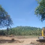 Aktivitas pembukaan lahan seluas lebih dari satu hektare di Desa Cucumare, Kabupaten Pulau Morotai, untuk pembangunan mess serta lokasi penampungan material Asphalt Mixing Plant (AMP) milik PT Intimkara diduga telah berlangsung sejak dua pekan terakhir tanpa keterbukaan informasi dan kejelasan persyaratan administrasi.