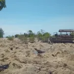 Darurat Abrasi di Koloray: Jarak Rumah ke Pantai Tinggal 4 Meter