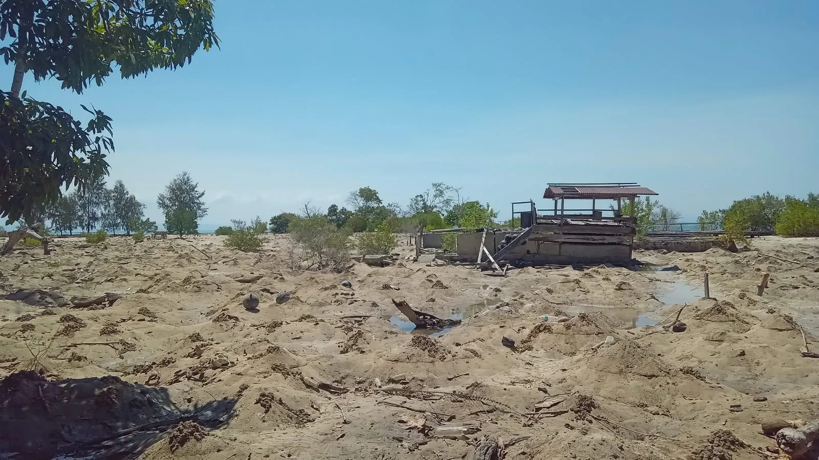 Darurat Abrasi di Koloray: Jarak Rumah ke Pantai Tinggal 4 Meter