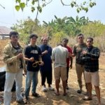 Tindak Lanjut Laporan Masyarakat, Satresnarkoba Morotai Amankan Pengedar Tembakau Gorila Pengembangan hingga ke Ternate