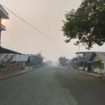 Asap Pekat Selimuti Kota Daruba: Aktivitas Harian Warga hingga Jalan Panjang Gotalamo Terhambat