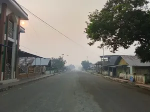 Asap Pekat Selimuti Kota Daruba: Aktivitas Harian Warga hingga Jalan Panjang Gotalamo Terhambat