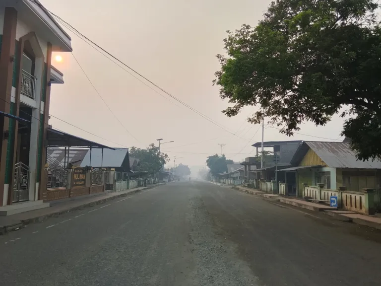 Asap Pekat Selimuti Kota Daruba: Aktivitas Harian Warga hingga Jalan Panjang Gotalamo Terhambat